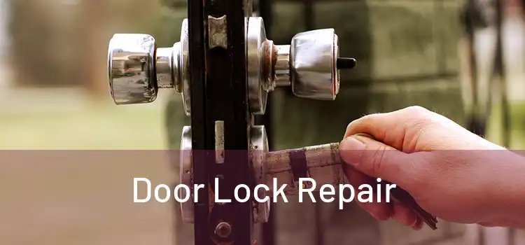 Door Lock Repair